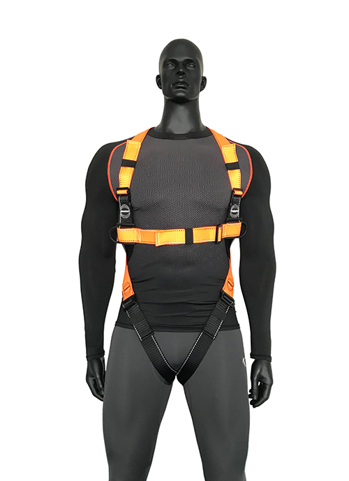 Safety harness